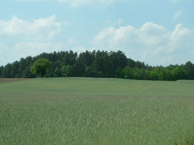 Okolicznosci przyrody